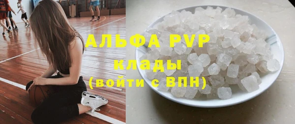 СК Алзамай