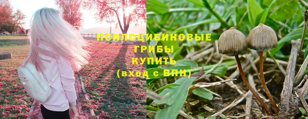 СК Алзамай