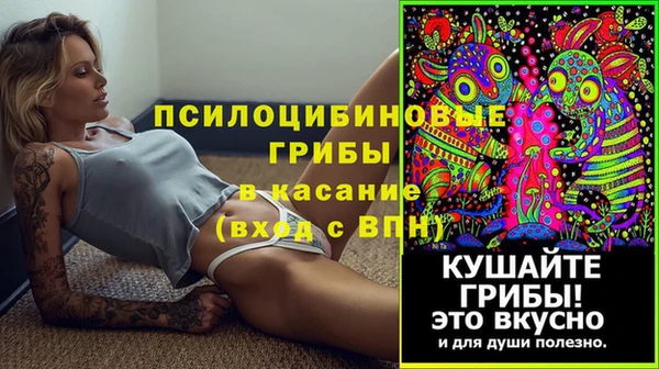 дживик Алексин