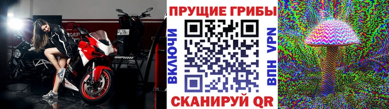 Псилоцибиновые грибы Magic Shrooms Солигалич